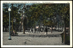 Feeding the Pigeons in Williams Park, St. Petersburg, Florida The Sunshine City. by Hampton Dunn