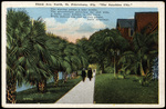 Third Ave. North, St. Petersburg, Florida "The Sunshine City". by Hampton Dunn