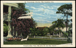 St. Petersburg, Florida The Sunshine City. Bougainvillea Vine, 6th Ave. N. and Bay Street. by Hampton Dunn