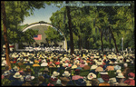 Williams Park and Band Stand. St. Petersburg, Florida by Hampton Dunn