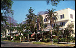 The Hotel Albemarle, A Resort Hotel of Distinction. by Hampton Dunn