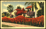 Home Surrounded by Tropical Foliage and Hedge of Flame Vine, St. Petersburg, Florida , "The Sunshine City". by Hampton Dunn