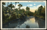 A Picturesque Scene in Florida The Beautiful Anclote River, Tarpon Springs, Florida by Hampton Dunn