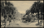Pond Lily Park, Tarpon Springs, Florida by Hampton Dunn