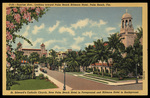 Sunrise Ave., Looking toward Palm Beach Biltmore Hotel, Palm Beach, Florida by Hampton Dunn