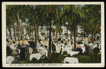 The Tea Garden, Royal Poinciana Hotel, Palm Beach, Florida by Hampton Dunn