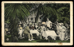 Afternoon Tea in a Cocoanut Grove, Palm Beach, Florida by Hampton Dunn