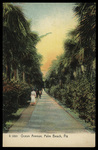 Ocean Avenue, Palm Beach, Florida by Hampton Dunn