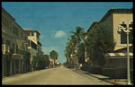 Palm Beach, Florida Looking East on Famous Worth Avenue by Hampton Dunn