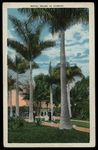 Royal Palms in Florida by Hampton Dunn