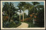 Scene in Garden of Eden, Palm Beach, Florida by Hampton Dunn