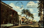 Palm Beach, Florida Looking East on Famous Worth Ave. by Hampton Dunn