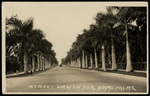 Street View in Florida, Royal Palms. by Hampton Dunn