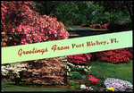 Greeting from Port Richey, Fl. by Hampton Dunn
