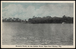 Brown's Point, on the Cottee River, New Port Richey, Florida by Hampton Dunn