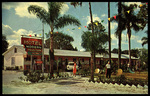 The Siesta Motel, Zephyrhills, Florida by Hampton Dunn
