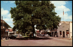 Looking into the Heart of Downtown Zephyrhills, Florida by Hampton Dunn