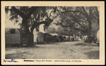 Winters Trailer Park, Zephyrhills, Florida by Hampton Dunn