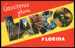 Greetings from Largo, Florida by Hampton Dunn