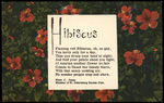 "Hibiscus" by Elma C. Jones. by Hampton Dunn