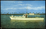 The Misselsie in the Marina, Clearwater, Florida by Hampton Dunn