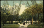 Belleview Hotel Grounds, The Terrace. Belleair, Florida by Hampton Dunn