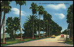 Edgewater Drive, Clearwater, Florida by Hampton Dunn