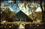 Band Performance in Williams Park, St. Petersburg, Florida by Hampton Dunn