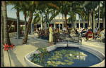 Palm Garden Restaurant, Clearwater, Florida by Hampton Dunn