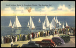 Small Sailboat Races, St. Petersburg, Florida, "The Sunshine City". by Hampton Dunn