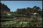 Innisbrook Estate, Tarpon Springs, Florida by Hampton Dunn