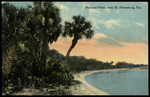 Maximo Point, near St. Petersburg, Florida by Hampton Dunn