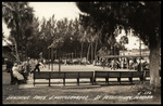 Sunshine Park Shuffleboards, St. Petersburg, Florida by Hampton Dunn