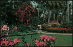 Sunken Gardens, St. Petersburg, Florida by Hampton Dunn