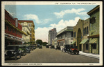 Fort Harrison Avenue, Looking South. Clearwater, Florida "The Springtime City". by Hampton Dunn