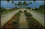 Flower-lined causeway connecting Clearwater with Clearwater Beach, Florida by Hampton Dunn
