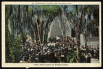 Daily Band Concert in Williams Park, St. Petersburg, Florida by Hampton Dunn