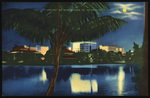 Moonlight on Mirror Lake, St. Petersburg, Florida by Hampton Dunn