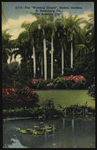 The "Wedding Chapel", Sunken Gardens, St. Petersburg, Florida by Hampton Dunn