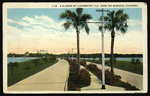 A Glimpse of Clearwater, Florida from the Memorial Highway. by Hampton Dunn