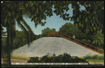 The Famous Shell Mound On The Southside, St. Petersburg, Florida by Hampton Dunn