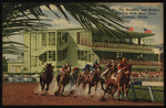 The Beautiful and Modern Sunshine Park Race Track, Oldsmar, Florida by Hampton Dunn