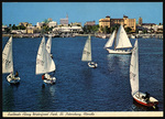Sailboats along Waterfront Park, St. Petersburg, Florida by Hampton Dunn