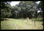 Fence line at Lower Green Swamp Preserve by Hillsborough County ELAPP