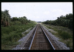 CSX Delaney Creek railroad tracks by Hillsborough County ELAPP