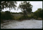 Dick Creek marshland by Hillsborough County ELAPP