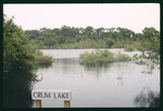 Lake Park view of Crum Lake by Hillsborough County ELAPP