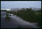 Westport Old Tampa Bay beach by Hillsborough County ELAPP