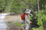 Volunteer trimming trail at Bell Creek by Hillsborough County ELAPP