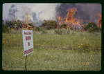 Golden Aster prescribed fire sign by Hillsborough County ELAPP
